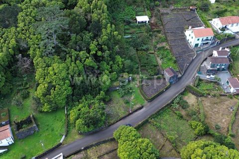 Helårsgrund i Sao Roque do Pico, Pico, Sao Roque do Pico - € 45.000 | Ref: 374240058 - foto 5
