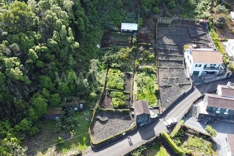 Helårsgrund i Sao Roque do Pico, Pico, Sao Roque do Pico - € 45.000 | Ref: 374240058 - foto 7