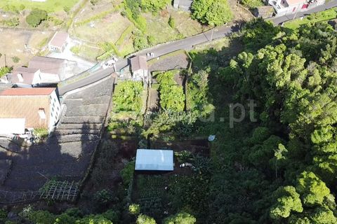 Helårsgrund i Sao Roque do Pico, Pico, Sao Roque do Pico - € 45.000 | Ref: 374240058 - foto 8