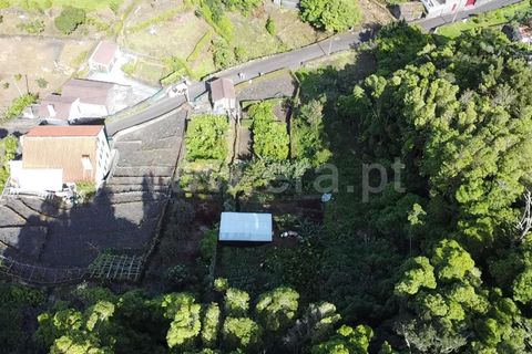 Helårsgrund i Sao Roque do Pico, Pico, Sao Roque do Pico - € 45.000 | Ref: 374240058 - foto 9
