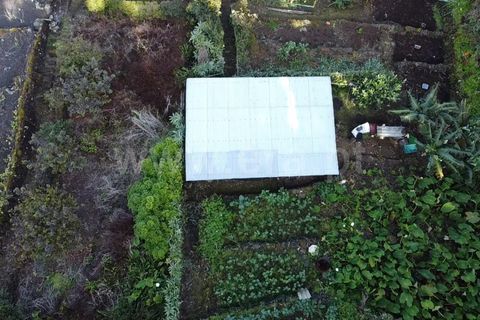 Helårsgrund i Sao Roque do Pico, Pico, Sao Roque do Pico - € 45.000 | Ref: 374240058 - foto 10