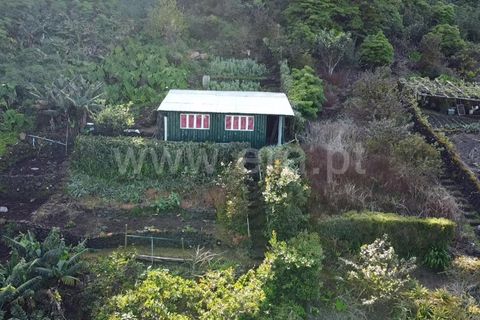 Helårsgrund i Sao Roque do Pico, Pico, Sao Roque do Pico - € 45.000 | Ref: 374240058 - foto 11