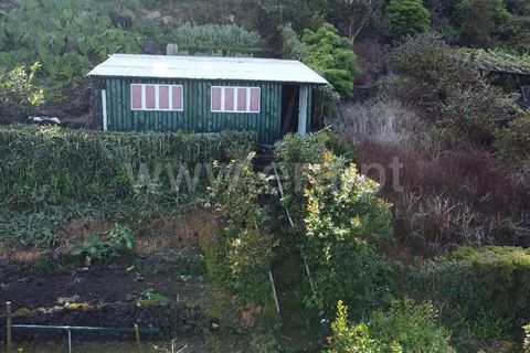 Helårsgrund i Sao Roque do Pico, Pico, Sao Roque do Pico - € 45.000 | Ref: 374240058 - foto 12