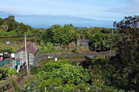 Helårsgrund i Sao Roque do Pico, Pico, Sao Roque do Pico - € 45.000 | Ref: 374240058 - foto 1