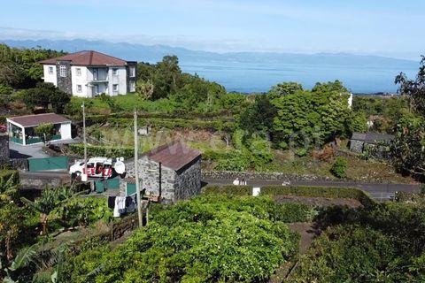 Helårsgrund i Sao Roque do Pico, Pico, Sao Roque do Pico - € 45.000 | Ref: 374240058 - foto 13