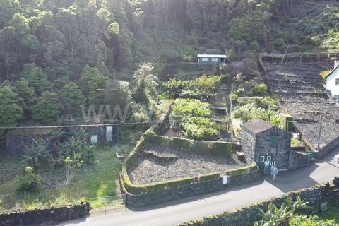 Helårsgrund i Sao Roque do Pico, Pico, Sao Roque do Pico - € 45.000 | Ref: 374240058 - foto 14