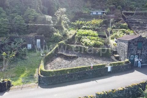 Helårsgrund i Sao Roque do Pico, Pico, Sao Roque do Pico - € 45.000 | Ref: 374240058 - foto 15