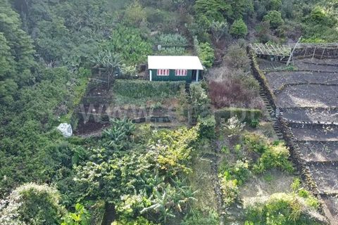 Helårsgrund i Sao Roque do Pico, Pico, Sao Roque do Pico - € 45.000 | Ref: 374240058 - foto 16
