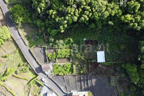 Helårsgrund i Sao Roque do Pico, Pico, Sao Roque do Pico - € 45.000 | Ref: 374240058 - foto 17