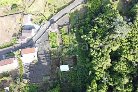 Helårsgrund i Sao Roque do Pico, Pico, Sao Roque do Pico - € 45.000 | Ref: 374240058 - foto 18