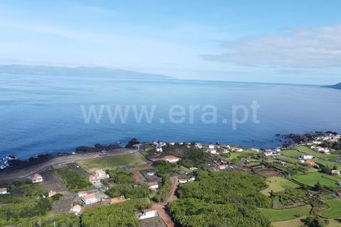 Helårsgrund i Sao Roque do Pico, Pico, Sao Roque do Pico - € 45.000 | Ref: 374240058 - foto 19