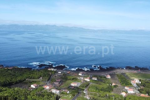 Helårsgrund i Sao Roque do Pico, Pico, Sao Roque do Pico - € 45.000 | Ref: 374240058 - foto 20