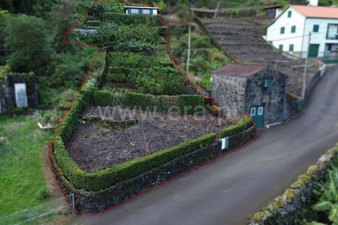 Helårsgrund i Sao Roque do Pico, Pico, Sao Roque do Pico - € 45.000 | Ref: 374240058 - foto 2