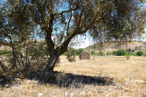 Finca i Fabara, Zaragoza, Fabara - € 29.000 | Ref: 1014 - foto 23