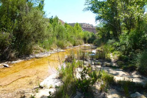 Finca i Fabara, Zaragoza, Fabara - € 29.000 | Ref: 1014 - foto 22