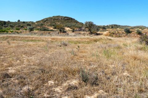 Finca i Fabara, Zaragoza, Fabara - € 29.000 | Ref: 1014 - foto 7
