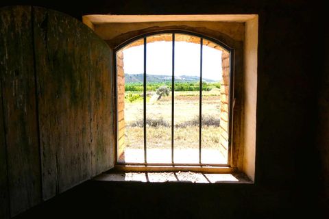 Finca i Fabara, Zaragoza, Fabara - € 29.000 | Ref: 1014 - foto 16