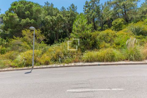 Helårsgrund i Blanes, Gerona, Blanes - € 600.000 | Ref: CBR50840 - foto 6