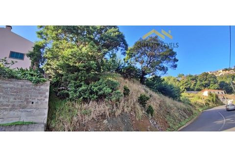 Helårsgrund i Gaula, Madeira, Gaula - € 80.000 | Ref: QL-52/2024 - foto 2