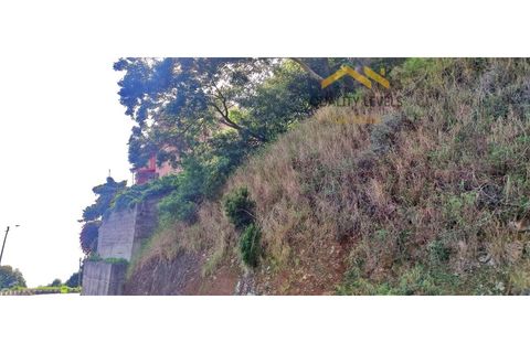 Helårsgrund i Gaula, Madeira, Gaula - € 80.000 | Ref: QL-52/2024 - foto 3