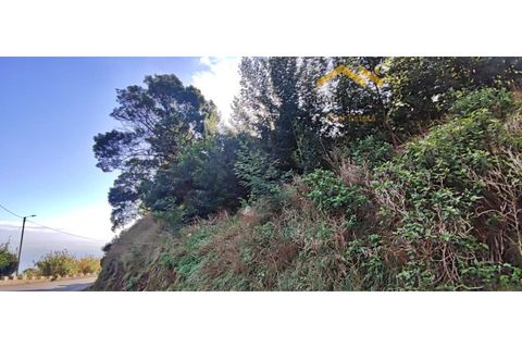 Helårsgrund i Gaula, Madeira, Gaula - € 80.000 | Ref: QL-52/2024 - foto 4