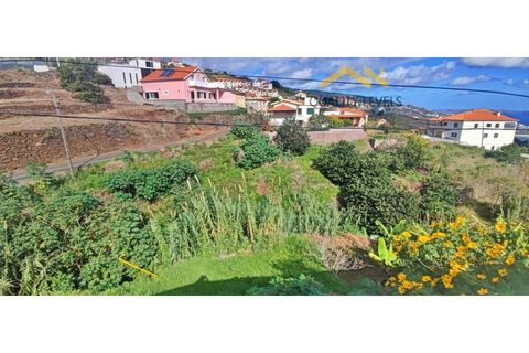 Helårsgrund i Gaula, Madeira, Gaula - € 45.000 | Ref: QL - 49 - foto 1