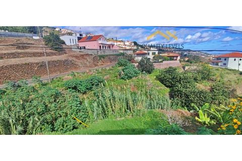 Helårsgrund i Gaula, Madeira, Gaula - € 45.000 | Ref: QL - 49 - foto 2