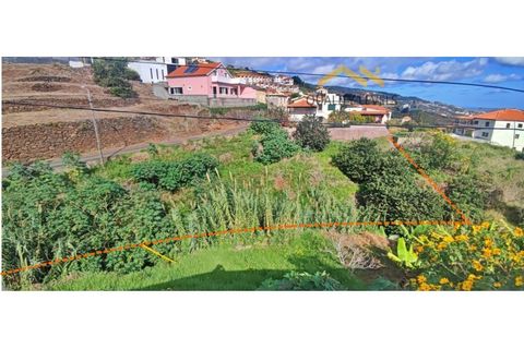 Helårsgrund i Gaula, Madeira, Gaula - € 45.000 | Ref: QL - 49 - foto 3
