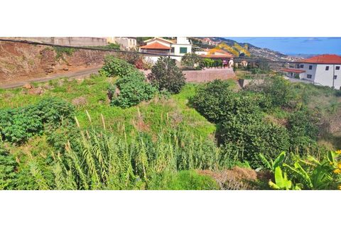 Helårsgrund i Gaula, Madeira, Gaula - € 45.000 | Ref: QL - 49 - foto 4