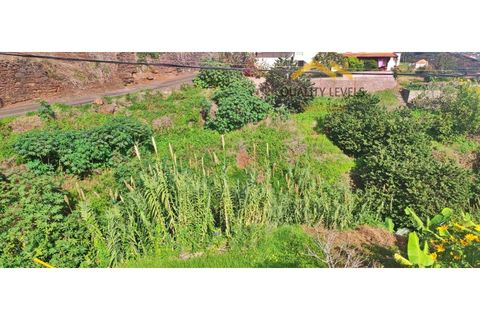 Helårsgrund i Gaula, Madeira, Gaula - € 45.000 | Ref: QL - 49 - foto 5