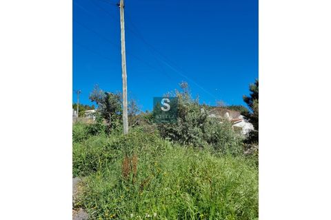 Helårsgrund i Coimbra, Coimbra, Coimbra - € 49.500 | Ref: SH0031-2024 - foto 4