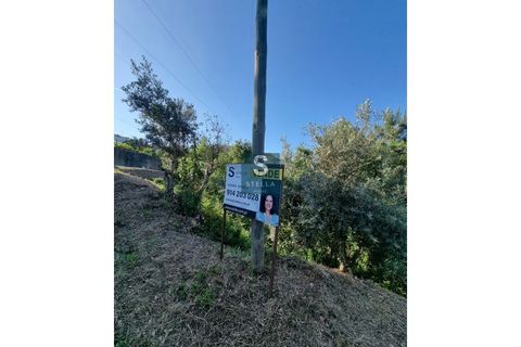 Helårsgrund i Coimbra, Coimbra, Coimbra - € 49.500 | Ref: SH0031-2024 - foto 9