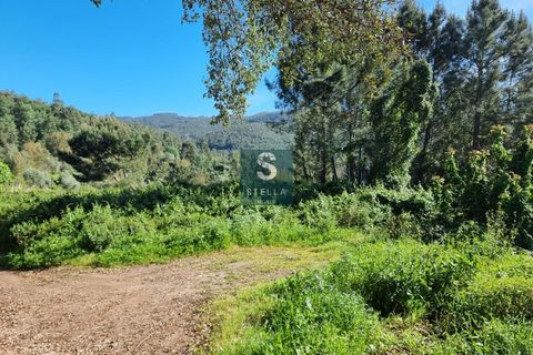Helårsgrund i Coimbra, Coimbra, Coimbra - € 49.500 | Ref: SH0032-2024 - foto 2