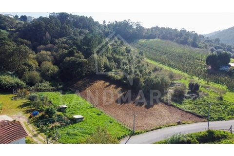 Helårsgrund i Turquel, Leiria, Turquel - € 39.000 | Ref: TE1435 - foto 2