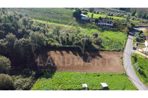Helårsgrund i Turquel, Leiria, Turquel - € 39.000 | Ref: TE1435 - foto 3