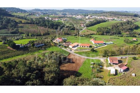 Helårsgrund i Turquel, Leiria, Turquel - € 39.000 | Ref: TE1435 - foto 4