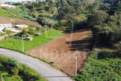 Helårsgrund i Turquel, Leiria, Turquel - € 39.000 | Ref: TE1435 - foto 5