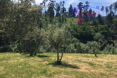 Helårsgrund i Carvalhal, Castelo Branco, Carvalhal - € 47.000 | Ref: HV321/0524 - foto 2
