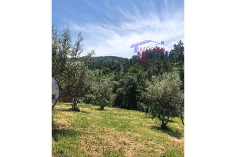 Helårsgrund i Carvalhal, Castelo Branco, Carvalhal - € 47.000 | Ref: HV321/0524 - foto 4