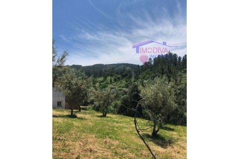 Helårsgrund i Carvalhal, Castelo Branco, Carvalhal - € 47.000 | Ref: HV321/0524 - foto 5