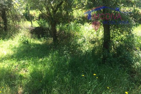 Helårsgrund i Carvalhal, Castelo Branco, Carvalhal - € 47.000 | Ref: HV321/0524 - foto 8