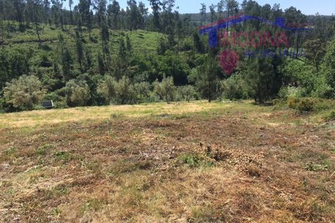 Helårsgrund i Carvalhal, Castelo Branco, Carvalhal - € 47.000 | Ref: HV321/0524 - foto 1