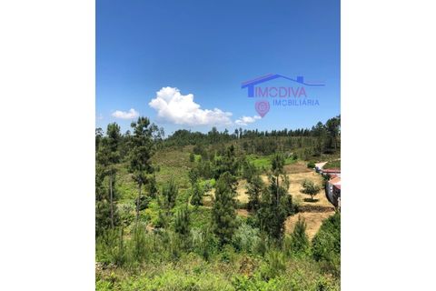 Helårsgrund i Carvalhal, Castelo Branco, Carvalhal - € 47.000 | Ref: HV321/0524 - foto 9