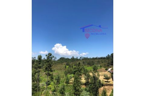 Helårsgrund i Carvalhal, Castelo Branco, Carvalhal - € 47.000 | Ref: HV321/0524 - foto 10