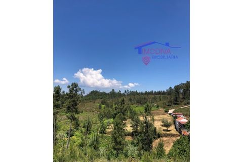 Helårsgrund i Carvalhal, Castelo Branco, Carvalhal - € 47.000 | Ref: HV321/0524 - foto 11