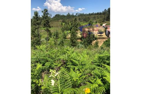 Helårsgrund i Carvalhal, Castelo Branco, Carvalhal - € 47.000 | Ref: HV321/0524 - foto 12
