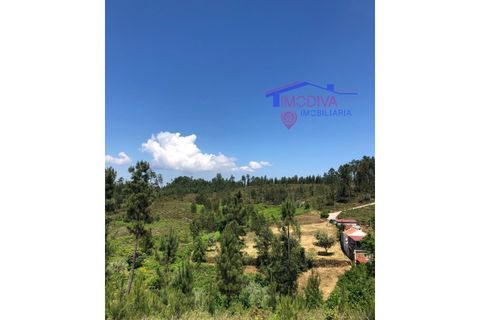 Helårsgrund i Carvalhal, Castelo Branco, Carvalhal - € 47.000 | Ref: HV321/0524 - foto 3