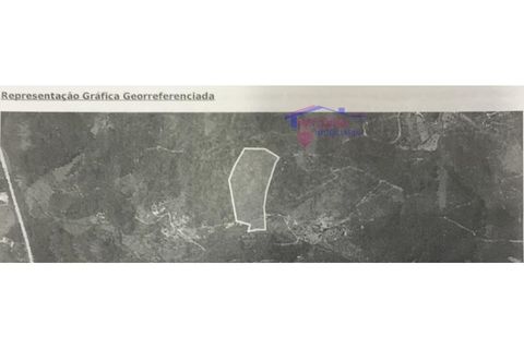 Helårsgrund i Carvalhal, Castelo Branco, Carvalhal - € 47.000 | Ref: HV321/0524 - foto 13