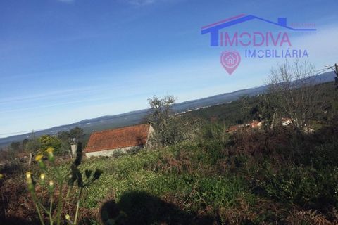 Villa i Carvalhal, Castelo Branco, Carvalhal - € 14 980 | Ref: HV320/0524 - foto 8