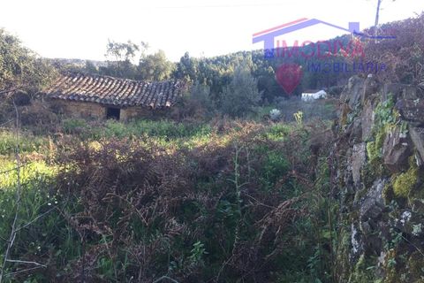 Villa i Carvalhal, Castelo Branco, Carvalhal - € 14 980 | Ref: HV320/0524 - foto 9